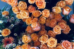 image00011