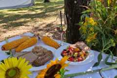 IMG-20250831-WA0003